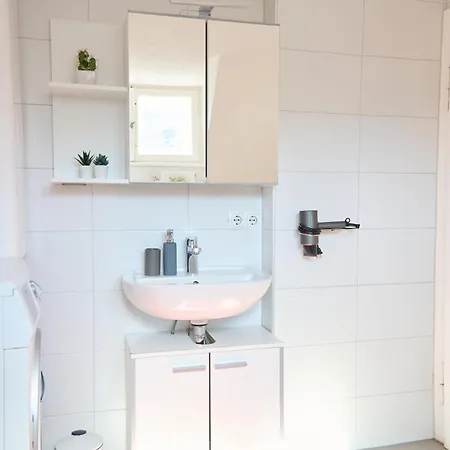 Zentrales Pfaenderblick